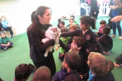 Animals On The Farm (Arabic Activity) Reception Classes 12th Jan 2016