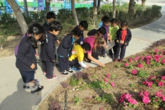 Dahal Al Hamam Park Trip (Reception Classes) 11th Feb 2016