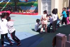 DSCF3949_800x600