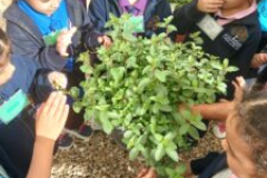 20260216_092011-225x300