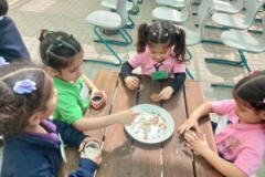 20260216_105641-300x225