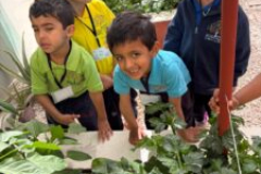 whatsapp-image-2026-02-17-at-4-03-37-pm-225x300