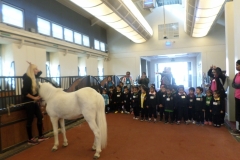 Thursday 25th January 2018/ Al Shaqab Club Trip