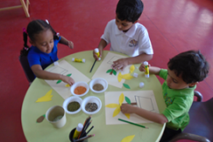 Thursday 25th November 2021/ Gardening & Seeds Collage