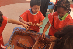 Thursday, February 26, 2026/ Minibeasts