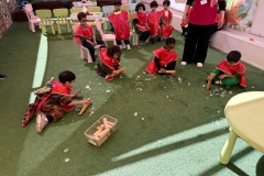 whatsapp-image-2026-02-05-at-12-39-45