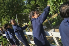 whatsapp-image-2026-01-22-at-12-15-57-1