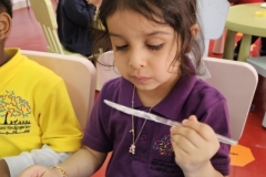 whatsapp-image-2026-01-29-at-12-46-29-3