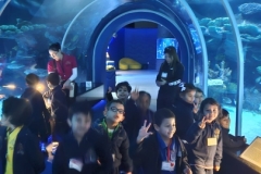 whatsapp-image-2026-01-08-at-11-35-32-1